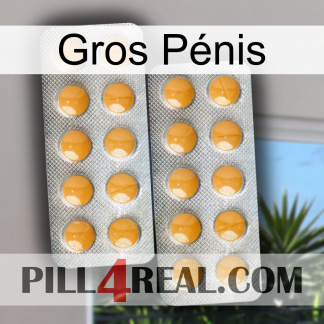 Gros Pénis levitra2